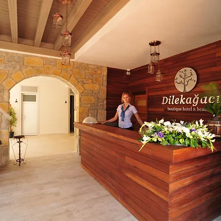 Hotel Dilekagaci Boutique And 4*