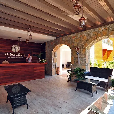 Dilekagaci Boutique And Hotel 4*