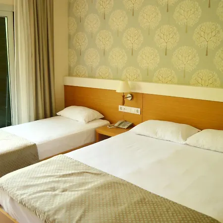 Отель Dilekagaci Boutique And 4*